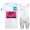 Weib EF Education Frist Tour De France 2021 Team Fahrradbekleidung Radteamtrikot Kurzarm+Kurz Radhose cXW5gf
