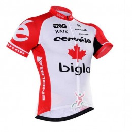 16/17 Cervelo endura bigla Fahrradtrikot Radsport Rot CB2KI