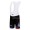 Cube Fintro Pro Team Kurz Trägerhose weiß Schwarz HSWJO
