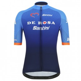 De Rosa Santini 2019 Fahrradbekleidung Radtrikot 8USD6